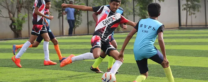 Sports & Physical Wellness