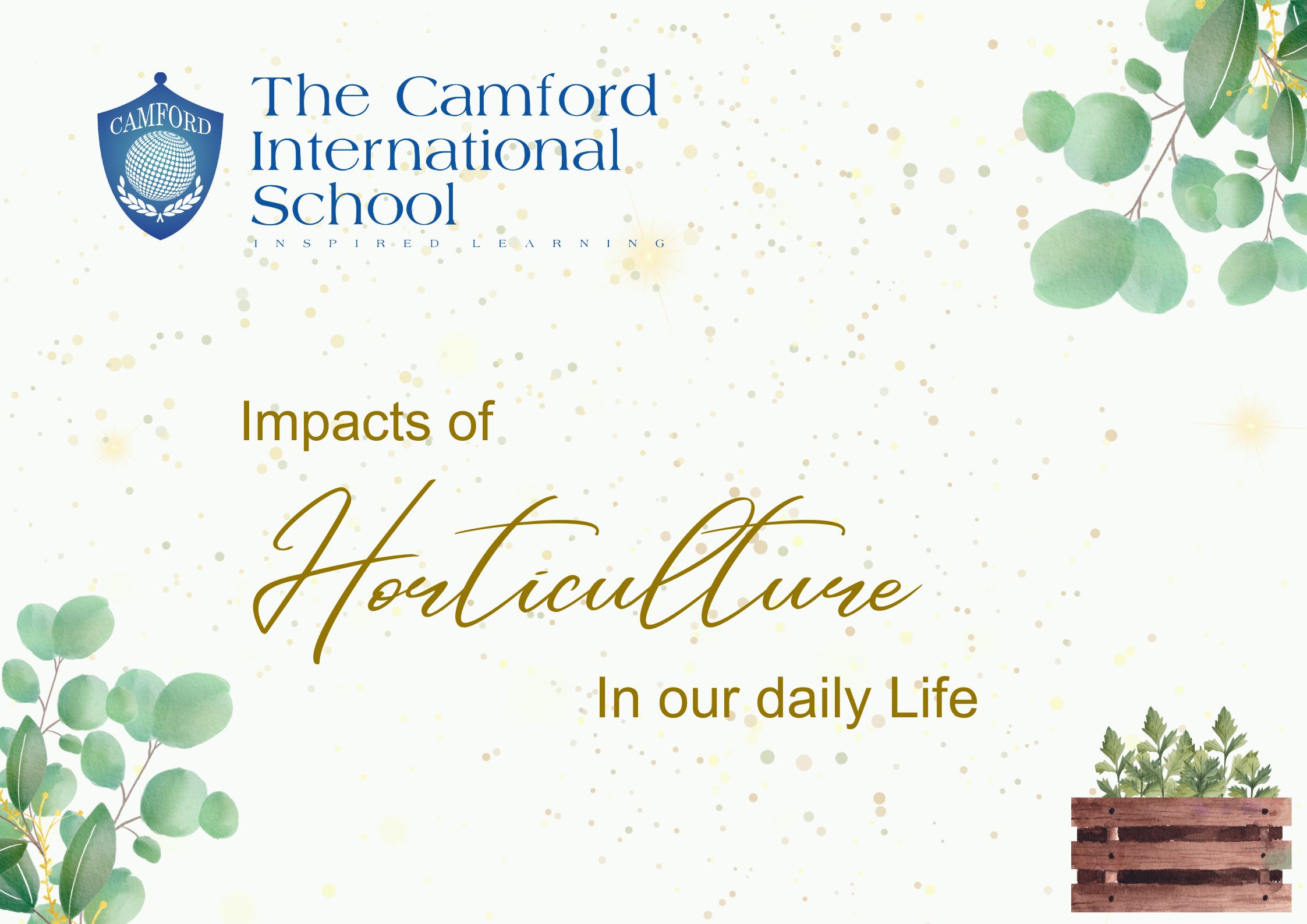 Impacts of Horticulture In Our Daily Life_top and best cbse school_The Camford International School_Coimbatore