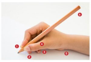 tripod_grasp_annotated