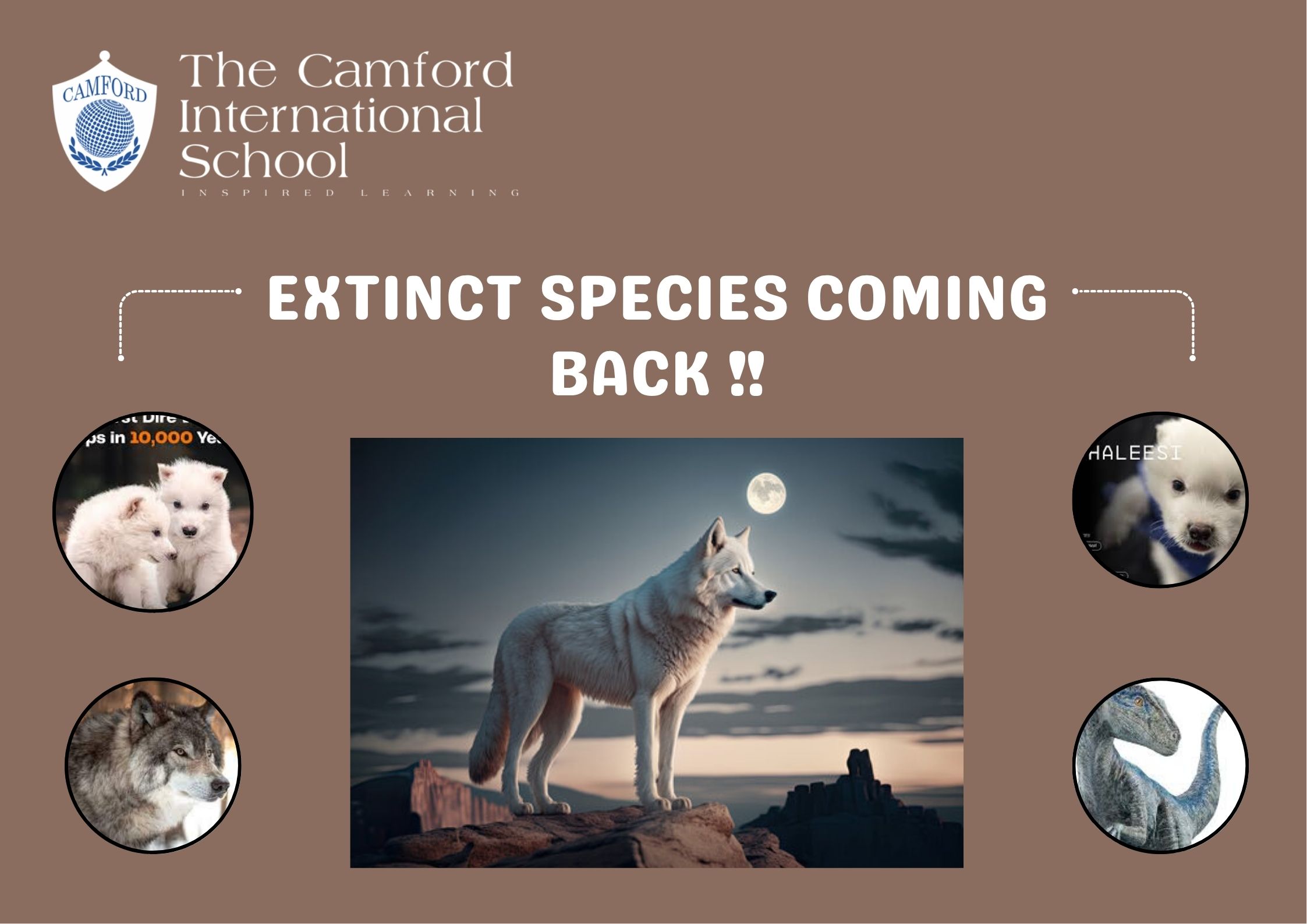 Extinct species coming back_best cbse school_The Camford International School_Coimbatore